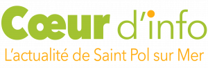 Logo_coeur_info